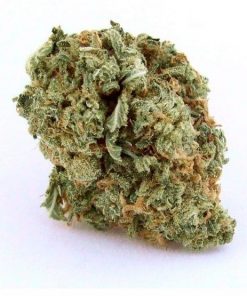 buy blue dream online