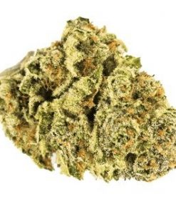 buy green crack online