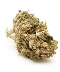 buy white widow online