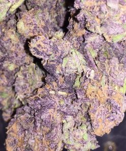 Buy Purple Haze Online